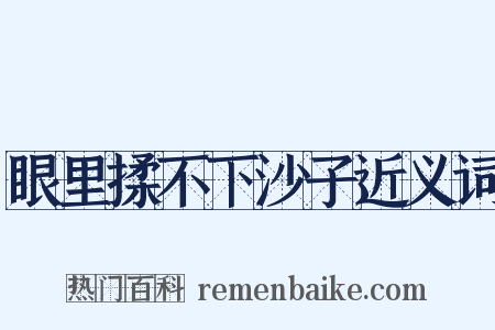 眼里揉不下沙子近义词是什么意思的图片